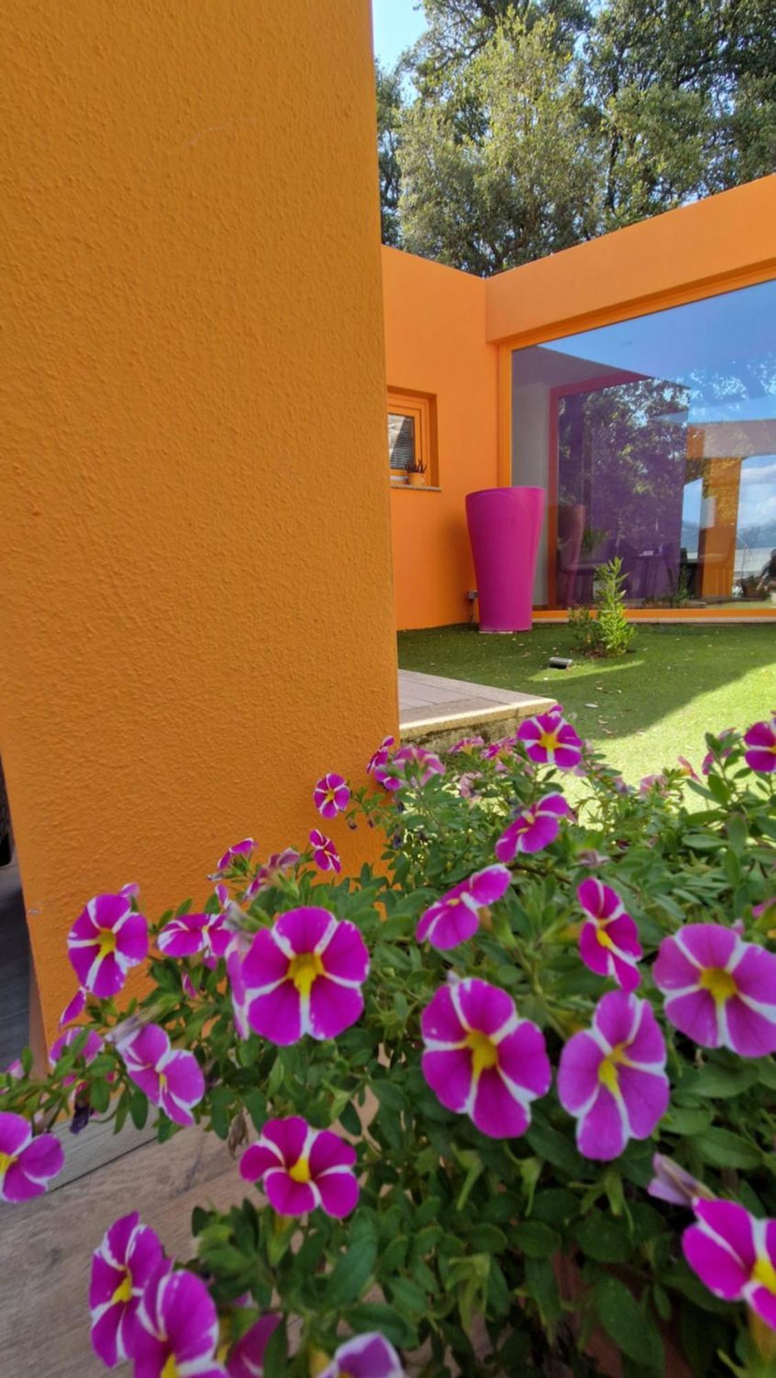 Limbara Dreaming Hotel Tempio Pausania Luaran gambar