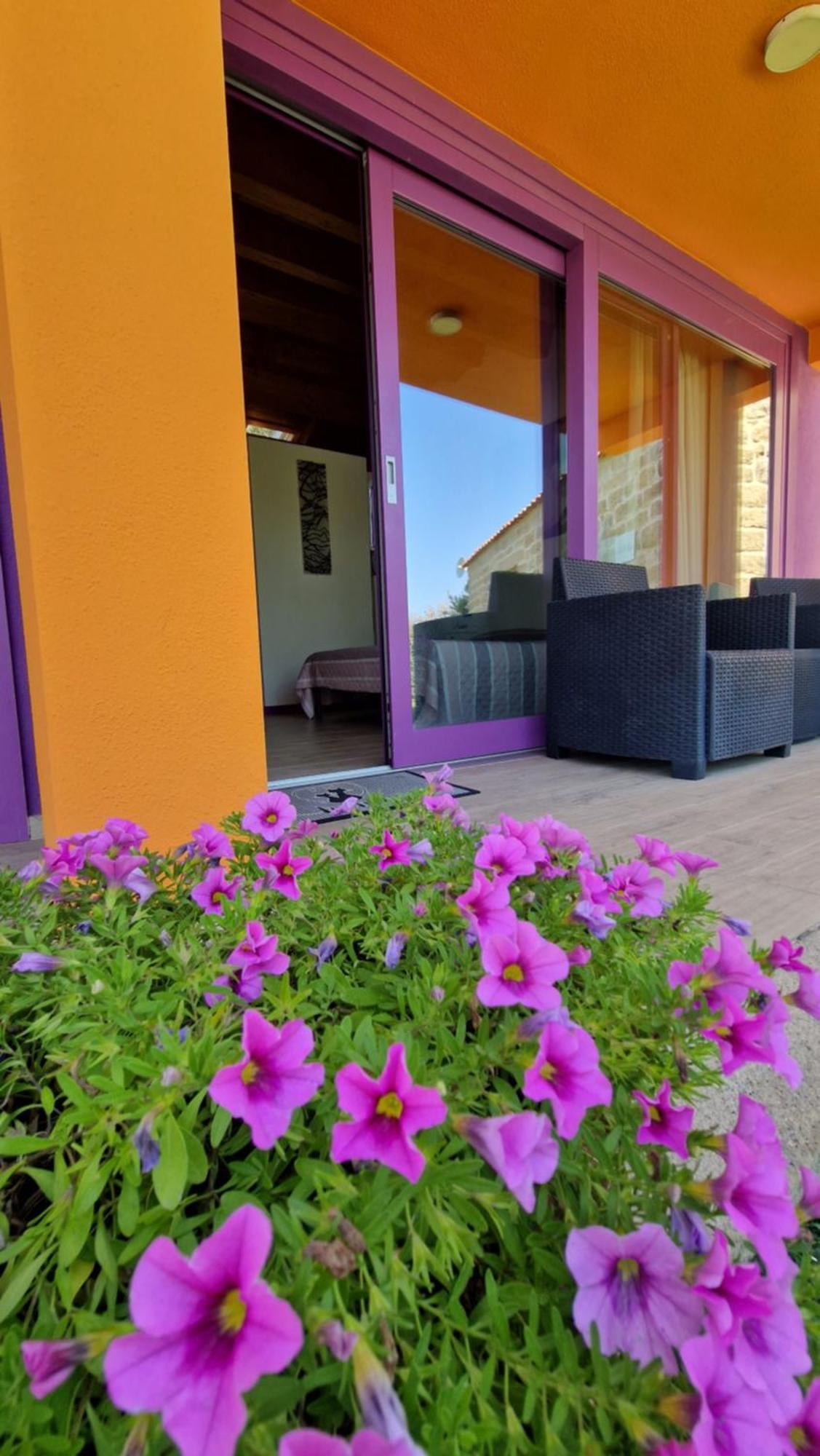 Limbara Dreaming Hotel Tempio Pausania Luaran gambar